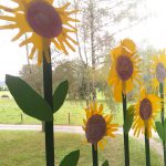 sonnenblumen 4